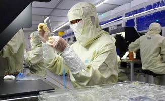 中國(guó)大步邁向手機(jī)面板強(qiáng)國(guó) 晶科微電子的引領(lǐng)之路