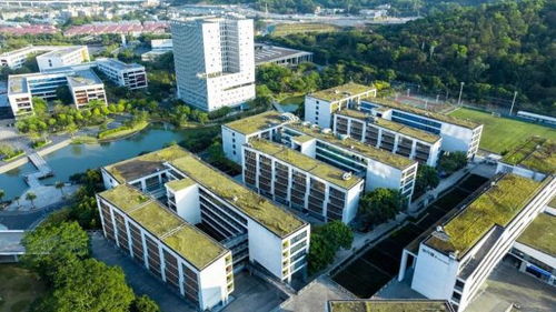 2026高考必看 深圳信息職業技術大學好不好？實力突圍的技術開發新星